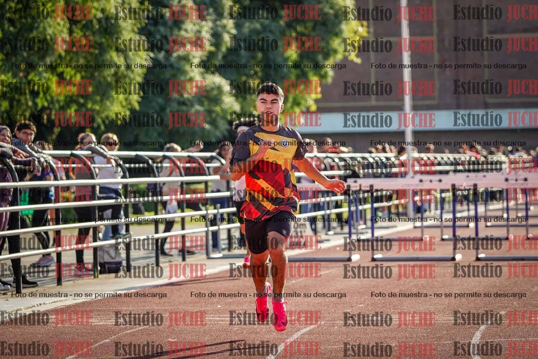 Fotos de los 110 m con vallas de varones