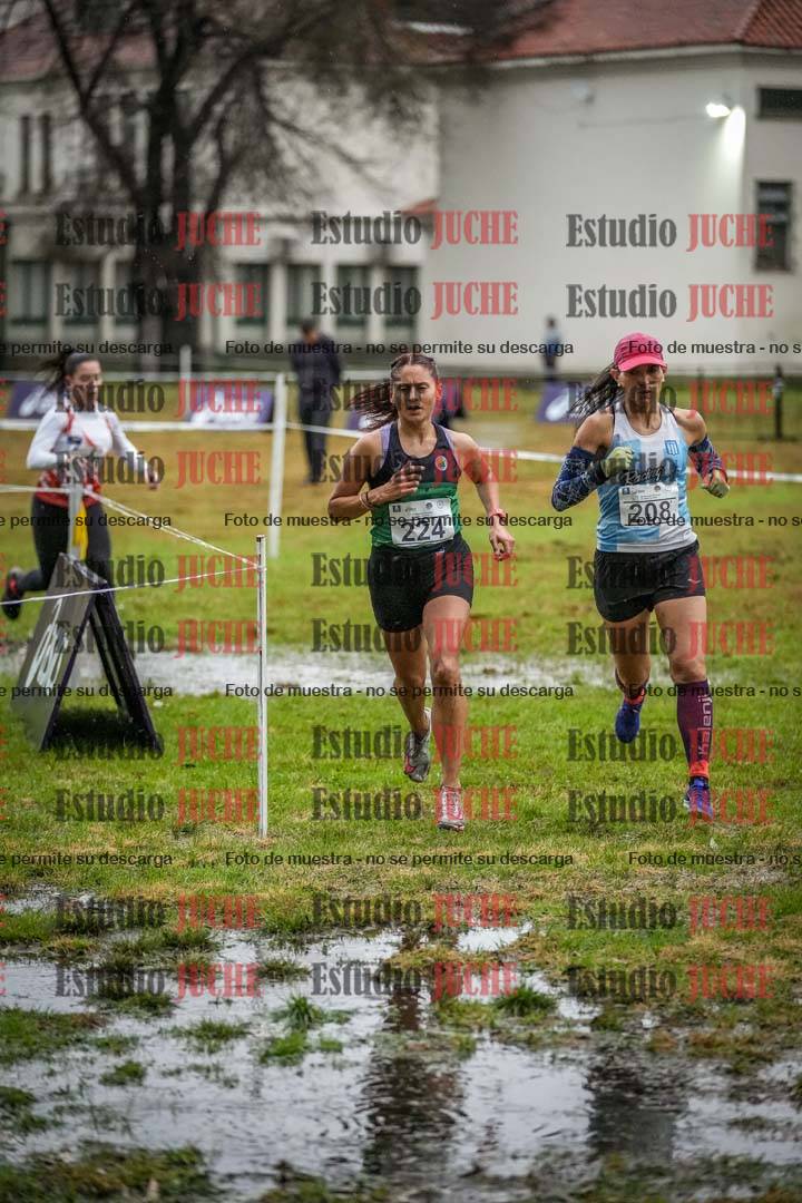 Fotos en el circuito