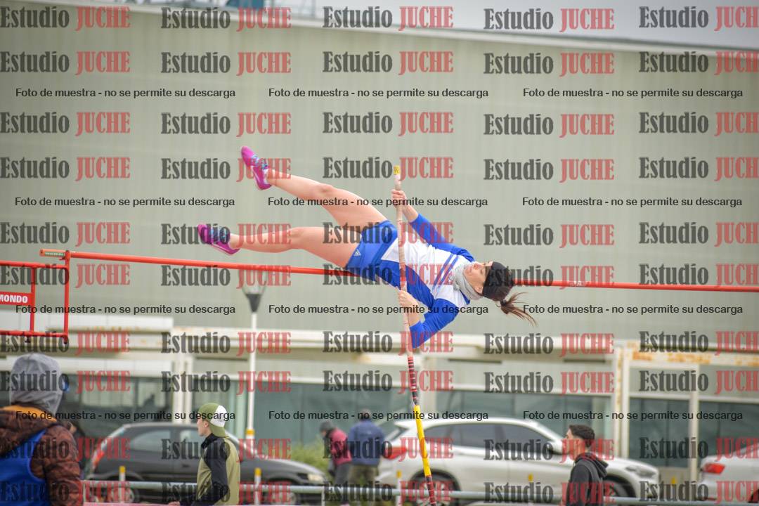 Fotos del salto con garrocha de mujeres y varones