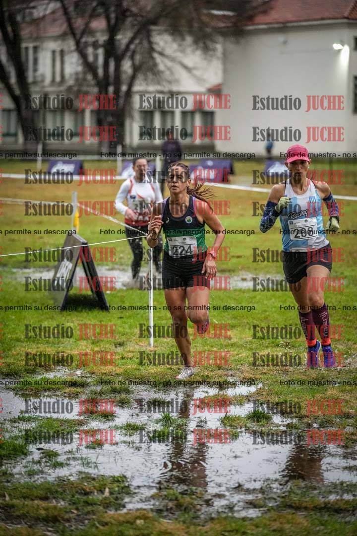 Fotos en el circuito