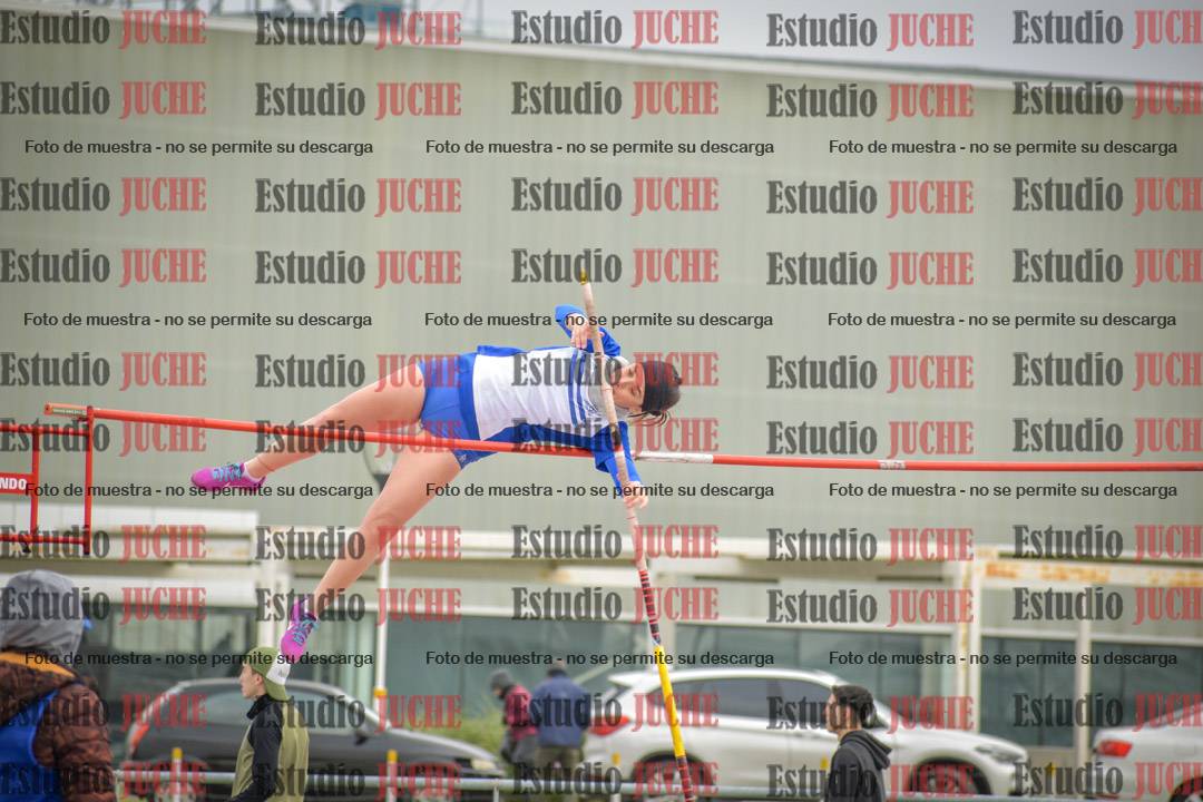 Fotos del salto con garrocha de mujeres y varones