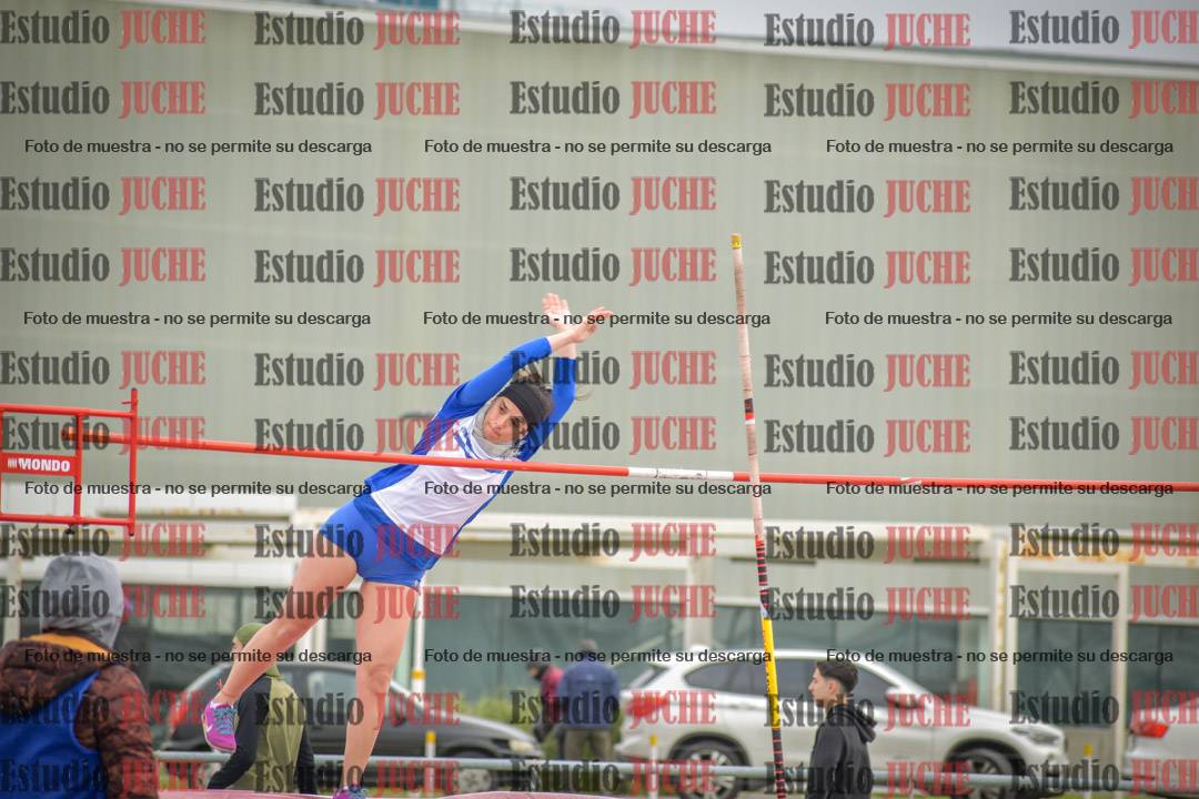 Fotos del salto con garrocha de mujeres y varones