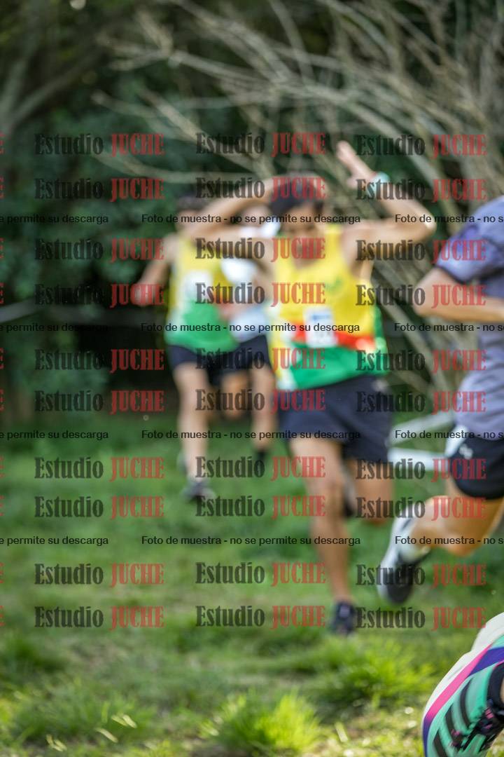Fotos en el circuito
