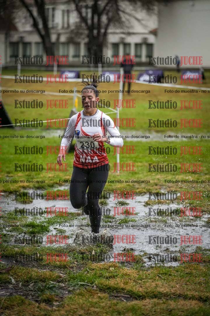 Fotos en el circuito