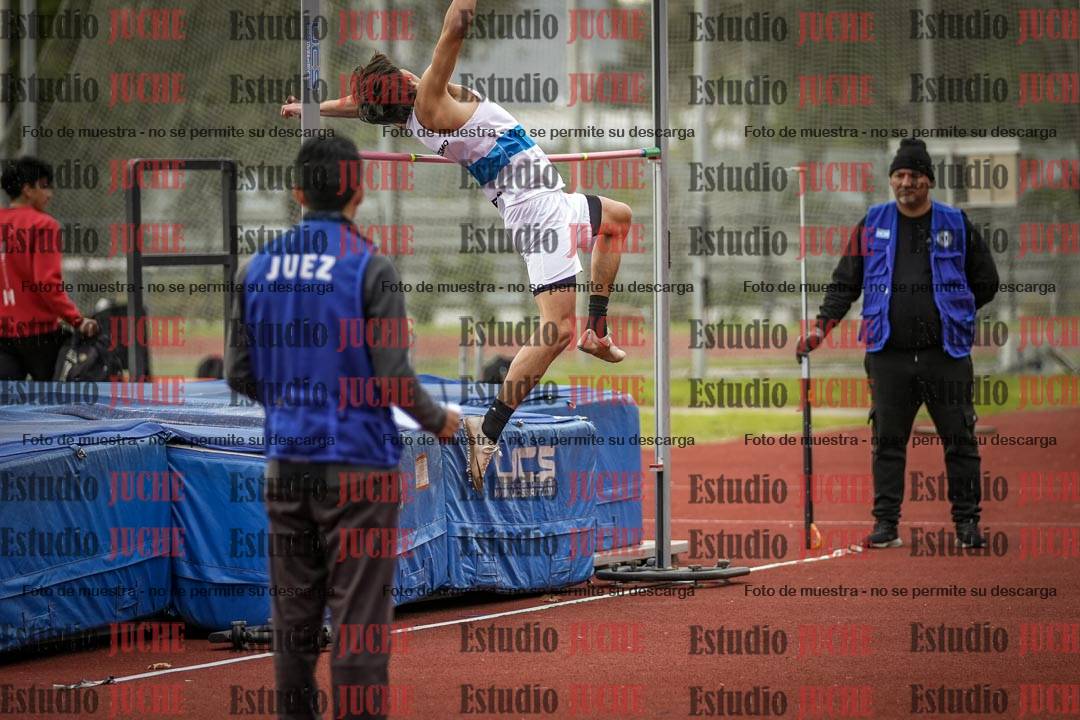 Fotos del salto en alto de varones