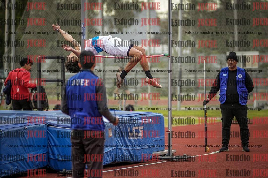 Fotos del salto en alto de varones