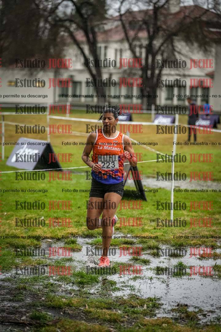 Fotos en el circuito