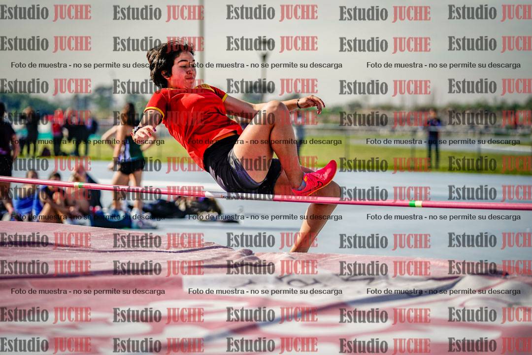 Fotos del salto en alto de mujeres - heptatlón 2