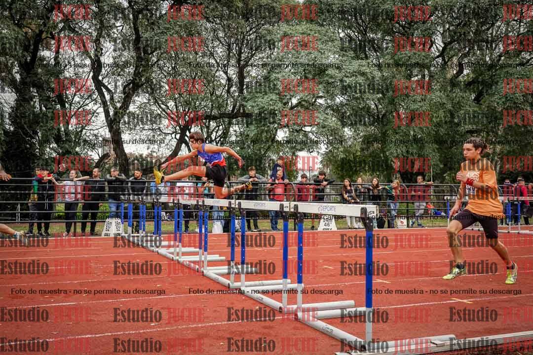 Fotos de los 110 m con vallas de varones