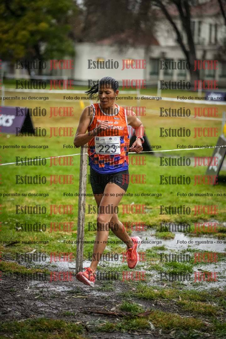 Fotos en el circuito