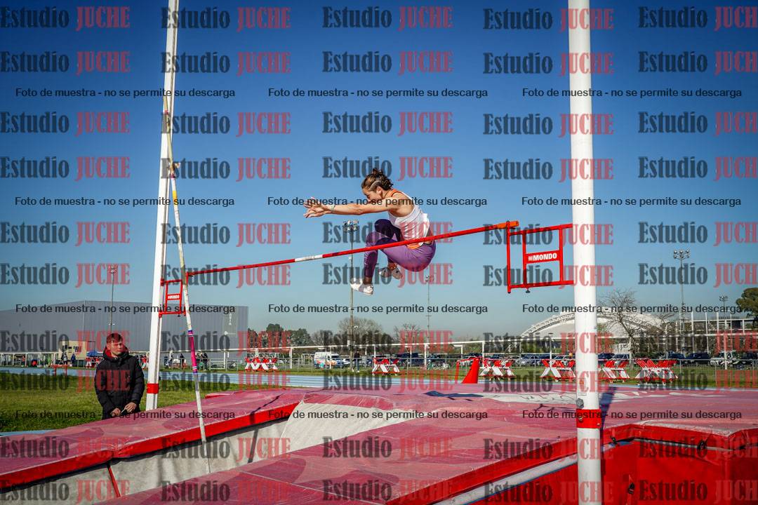 Fotos del salto con garrocha de mujeres y varones