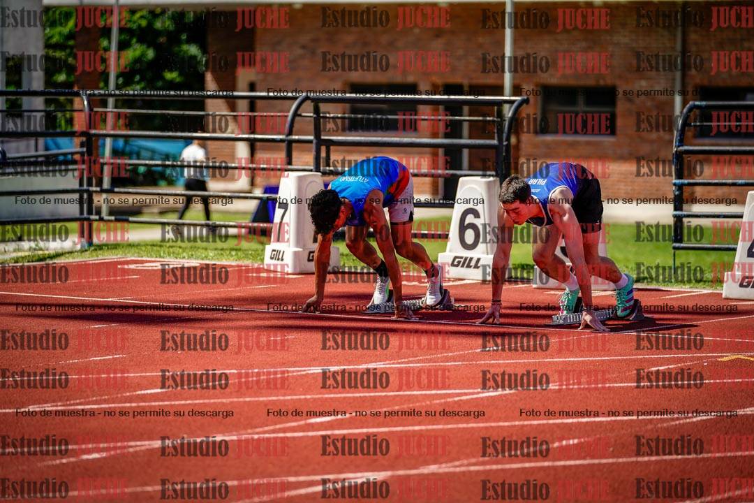 Fotos de los 110 m con vallas de varones