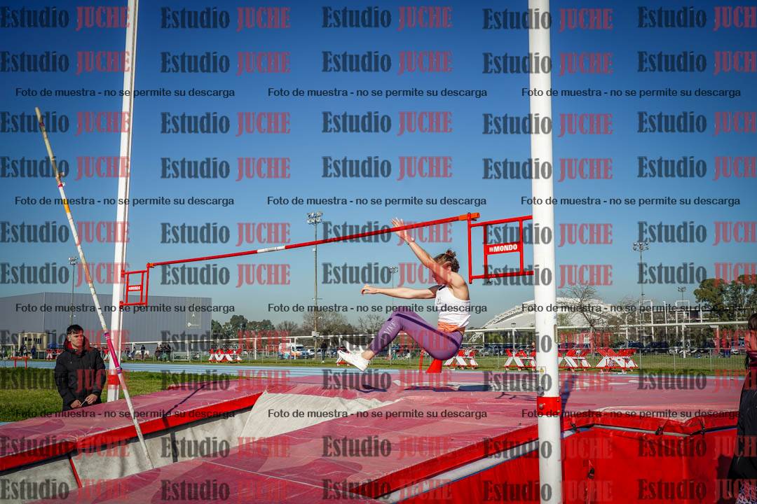 Fotos del salto con garrocha de mujeres y varones