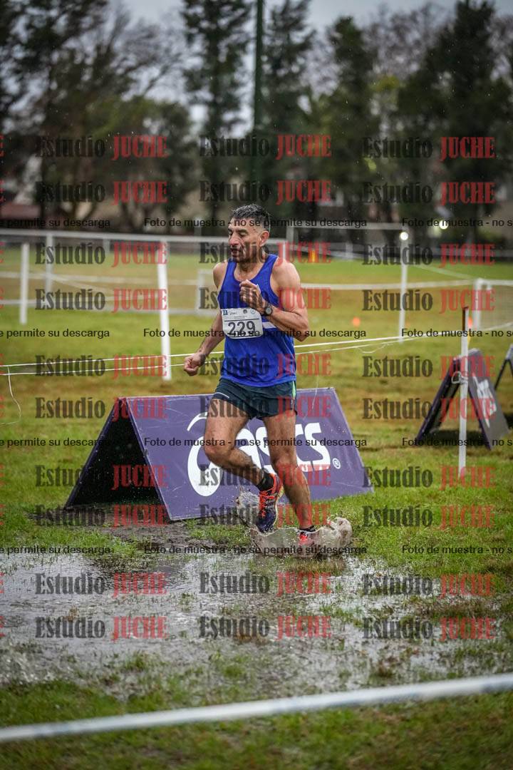 Fotos en el circuito