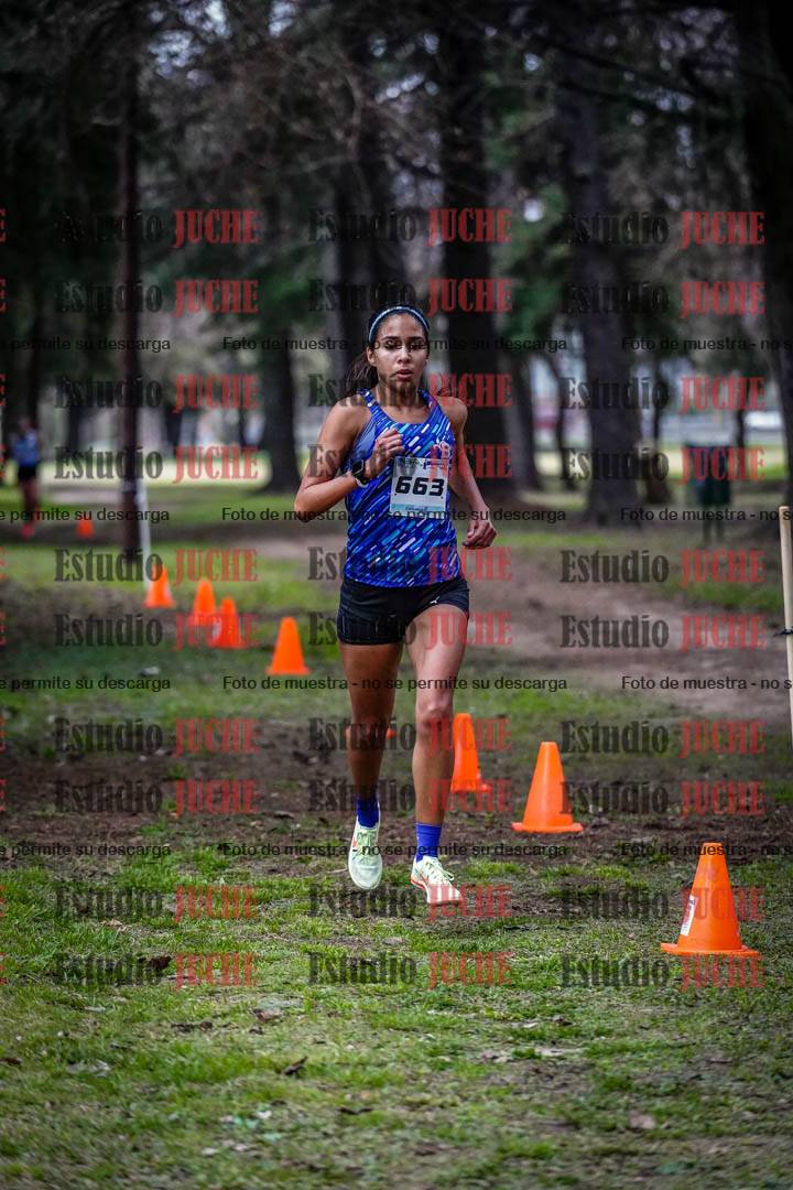 Fotos en el circuito