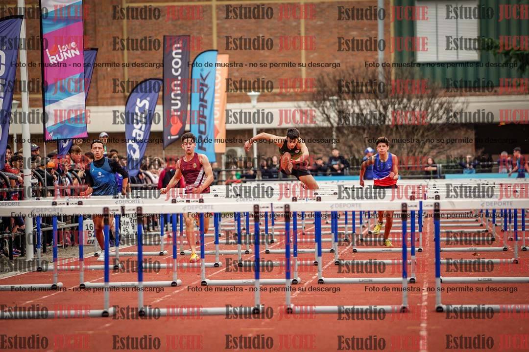 Fotos de los 110 m con vallas de varones