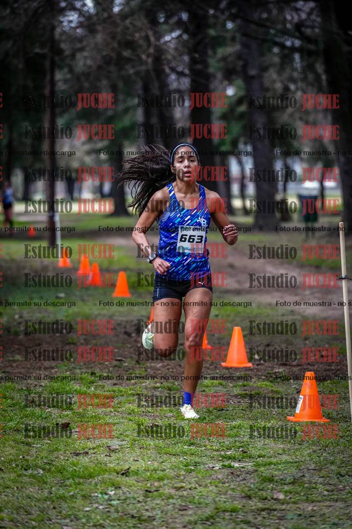 Fotos en el circuito