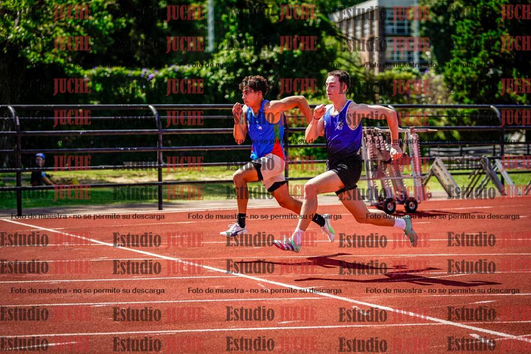 Fotos de los 110 m con vallas de varones