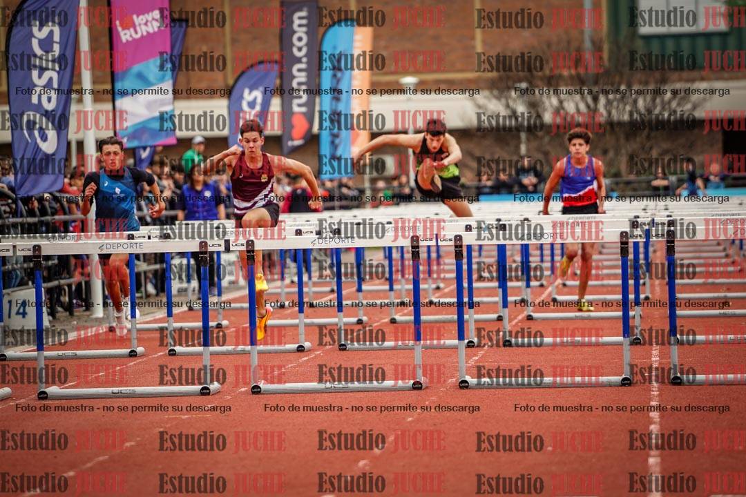 Fotos de los 110 m con vallas de varones