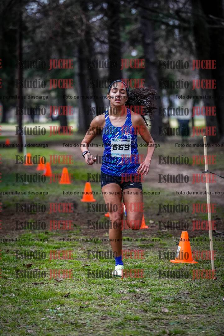Fotos en el circuito