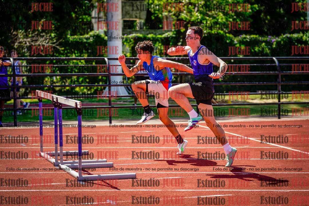 Fotos de los 110 m con vallas de varones