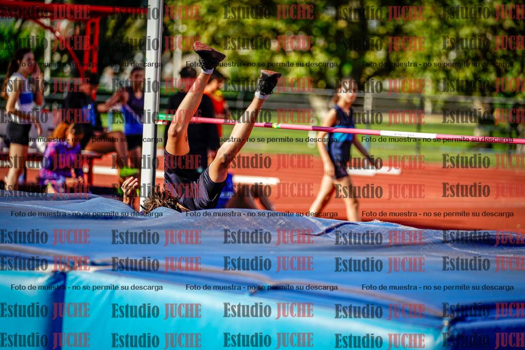 Fotos del salto en alto de mujeres y varones