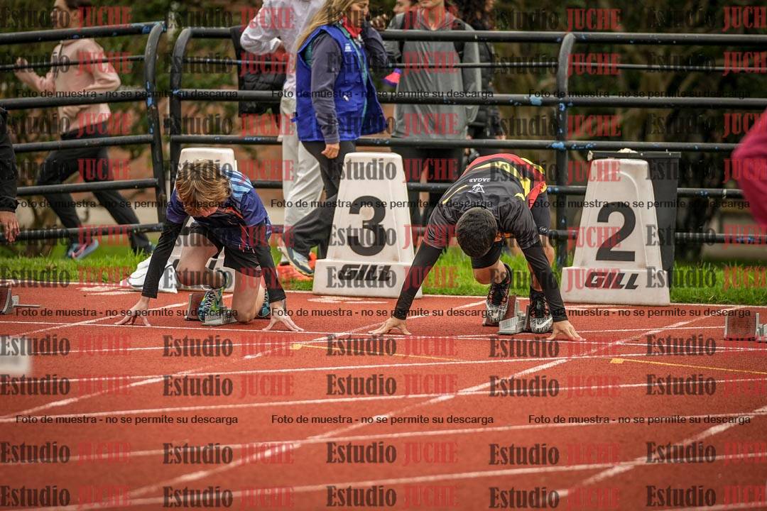 Fotos de los 110 m con vallas de varones
