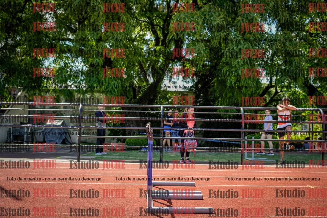 Fotos de los 110 m con vallas de varones