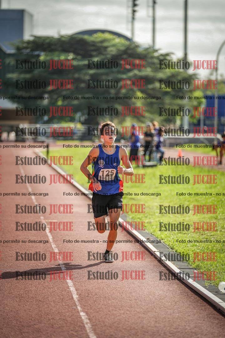 Fotos de los 3000 m con obstáculos de varones