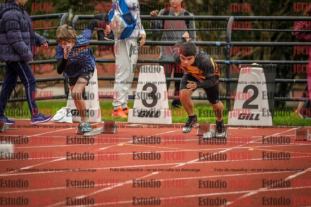 Fotos de los 110 m con vallas de varones