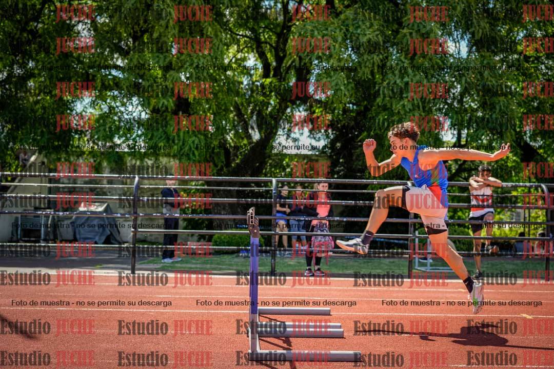 Fotos de los 110 m con vallas de varones