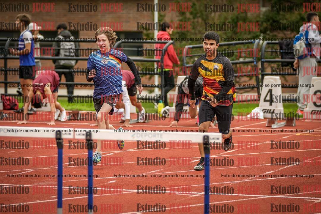 Fotos de los 110 m con vallas de varones