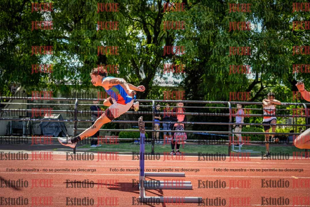 Fotos de los 110 m con vallas de varones
