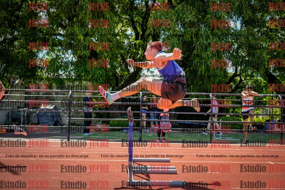 Fotos de los 110 m con vallas de varones