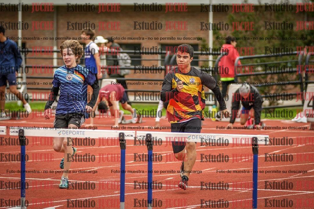 Fotos de los 110 m con vallas de varones