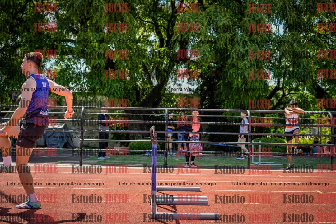 Fotos de los 110 m con vallas de varones