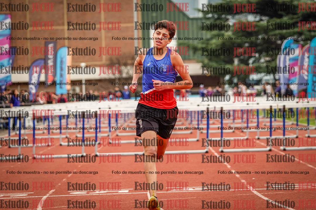 Fotos de los 110 m con vallas de varones