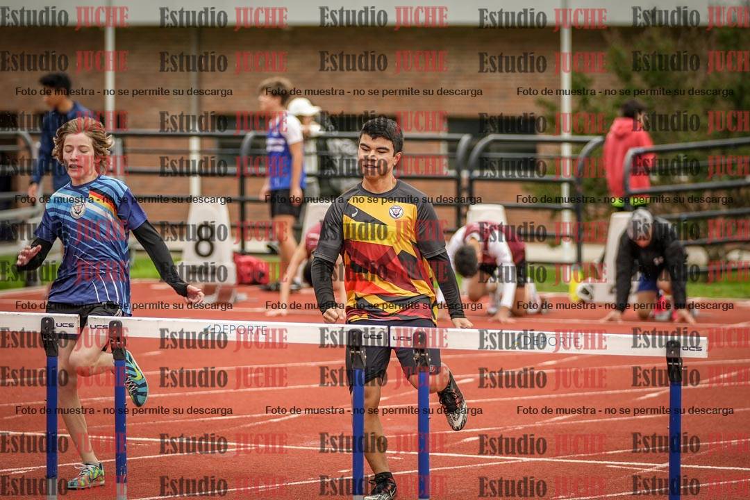 Fotos de los 110 m con vallas de varones