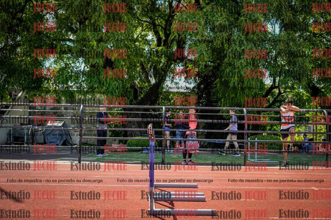 Fotos de los 110 m con vallas de varones