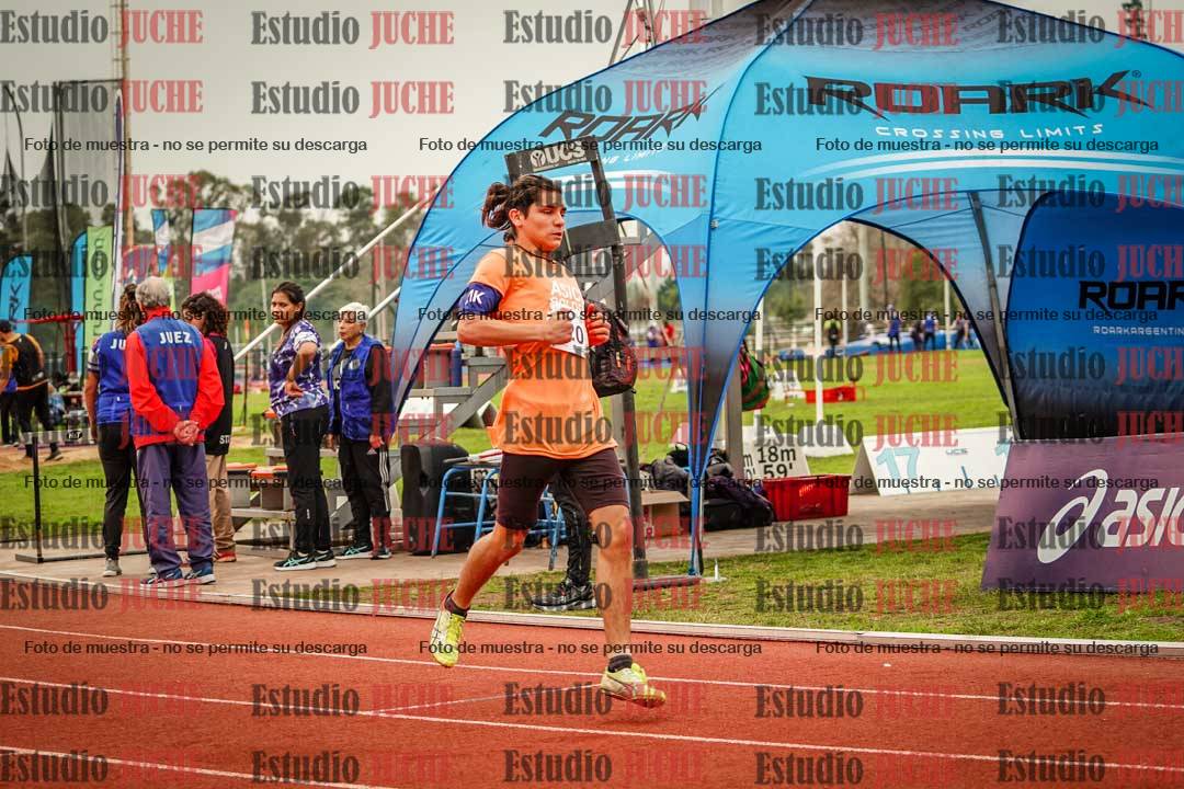 Fotos de los 110 m con vallas de varones