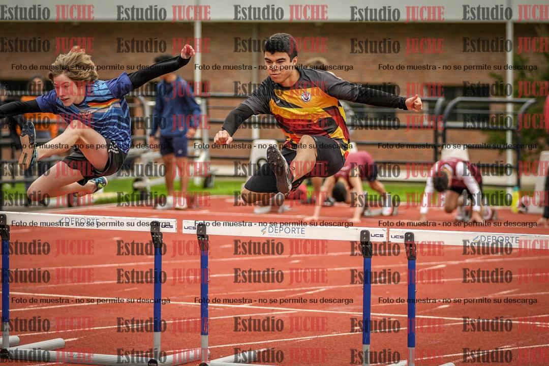 Fotos de los 110 m con vallas de varones