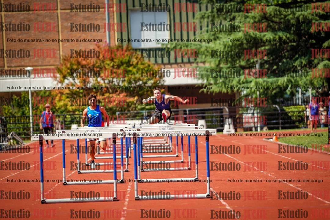 Fotos de los 110 m con vallas de varones