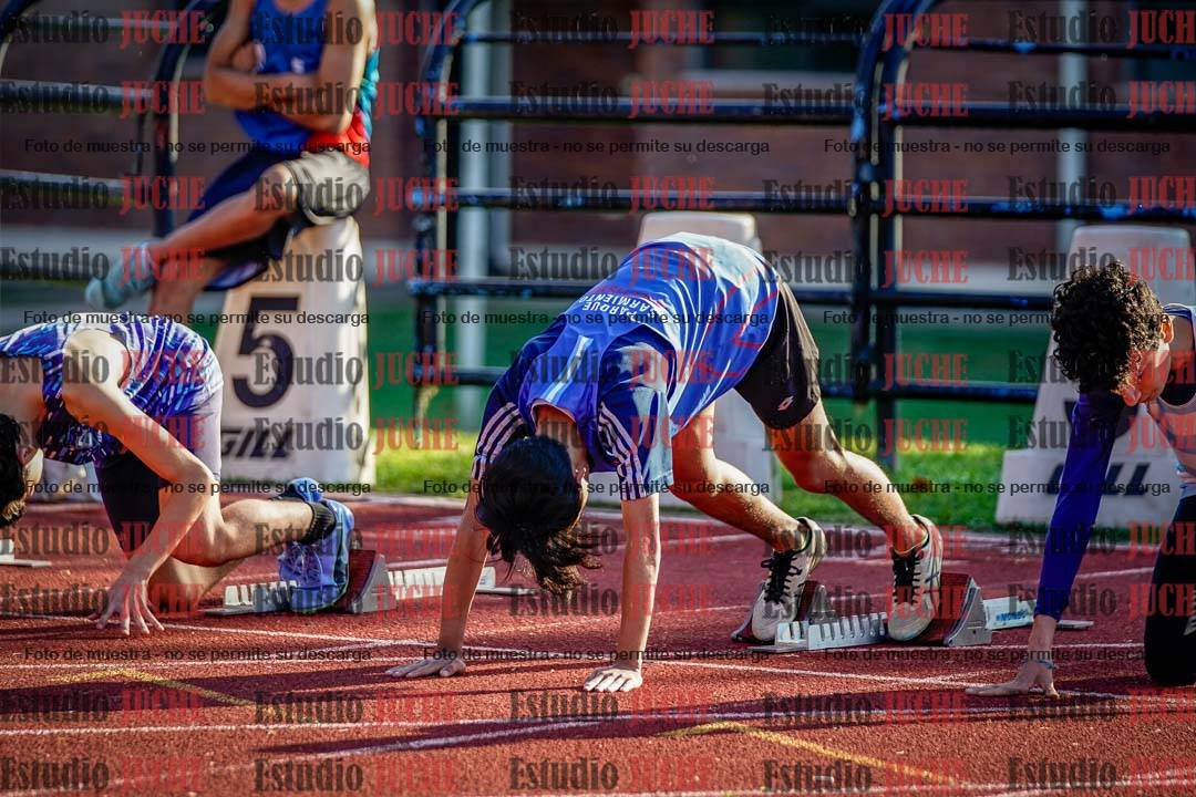Fotos de los 110 m con vallas de varones