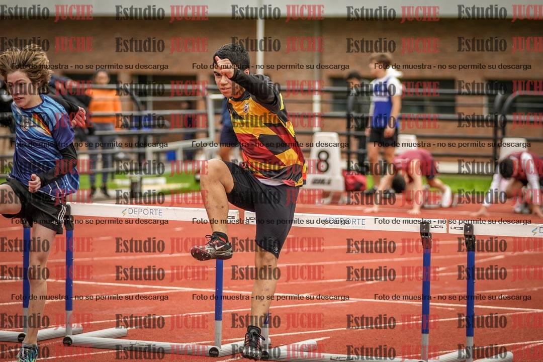 Fotos de los 110 m con vallas de varones