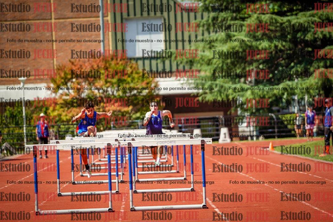 Fotos de los 110 m con vallas de varones