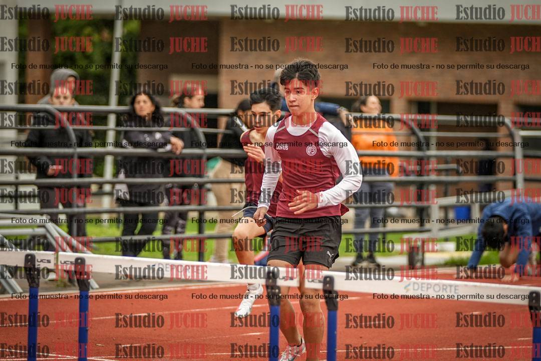 Fotos de los 110 m con vallas de varones