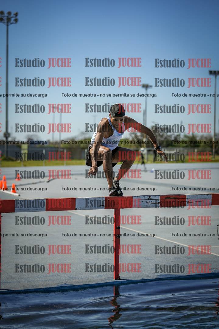 Fotos de los 3000 m con obstáculos de varones