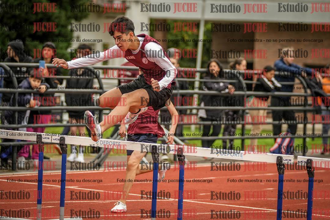 Fotos de los 110 m con vallas de varones