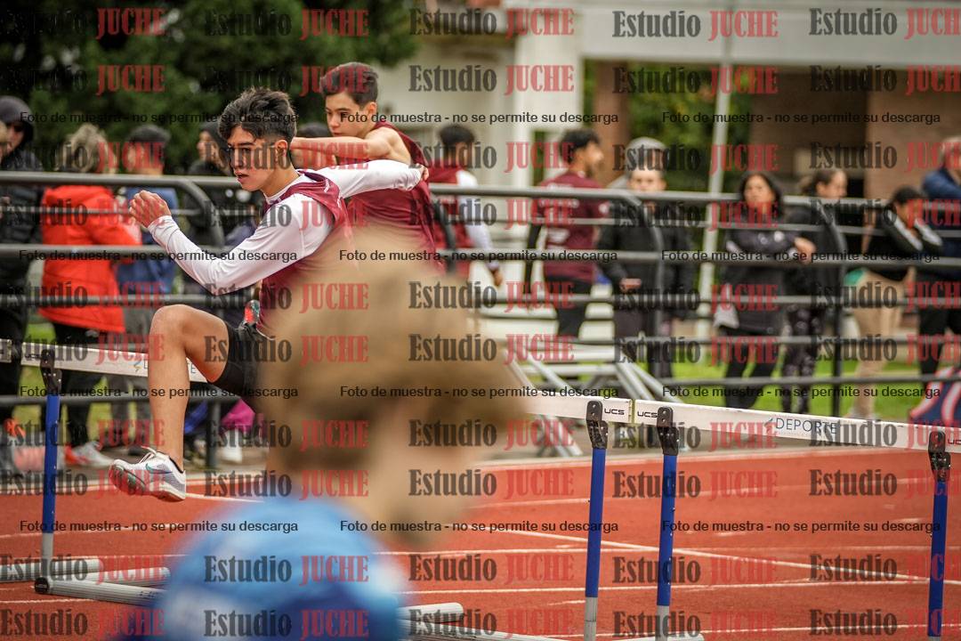 Fotos de los 110 m con vallas de varones