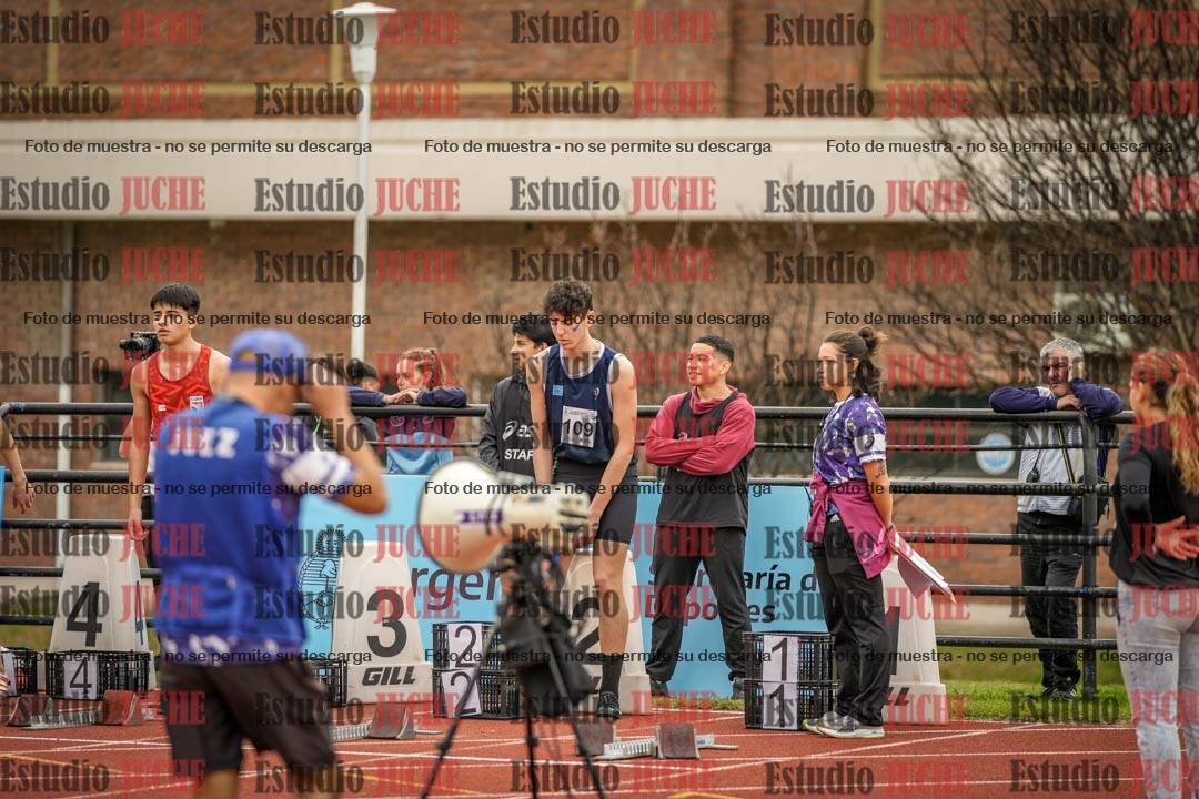 Fotos de los 110 m con vallas de varones